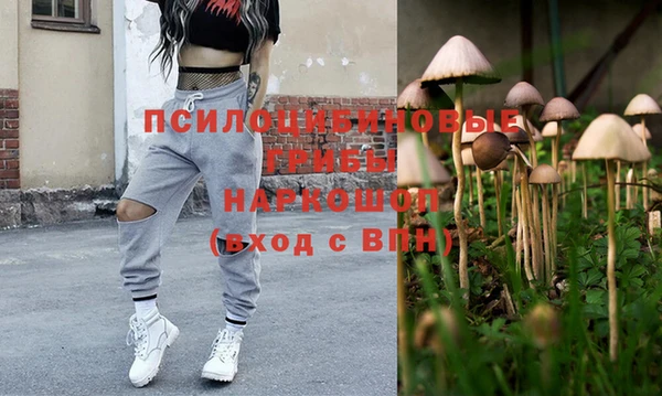 ешки Богданович