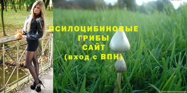 мяу мяу мука Богородицк