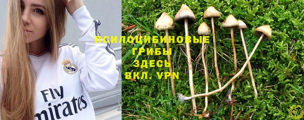таблы Бугульма
