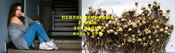бошки Богородск