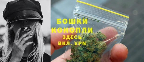 дурь Бронницы