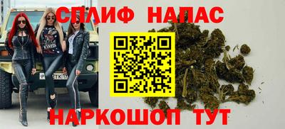 прущие грибы Малгобек