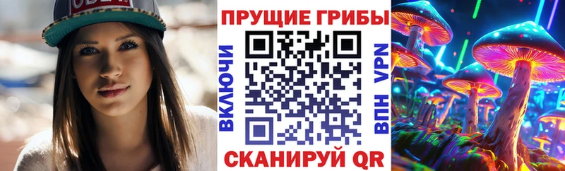 купить закладку Северск Галлюциногенные грибы MAGIC MUSHROOMS