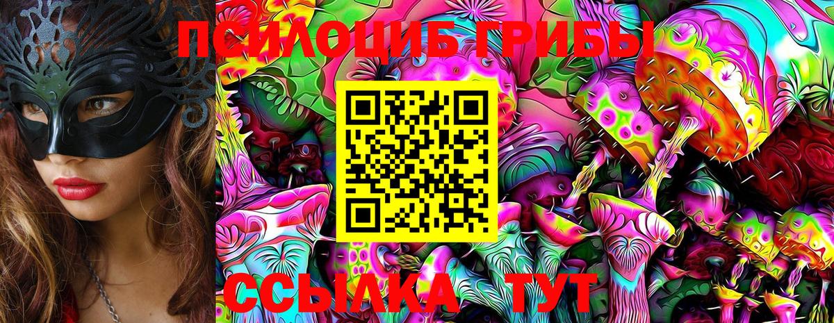Северск  Псилоцибиновые грибы Magic Shrooms  Псилоцибиновые грибы ЛСД  Вход с VPN 