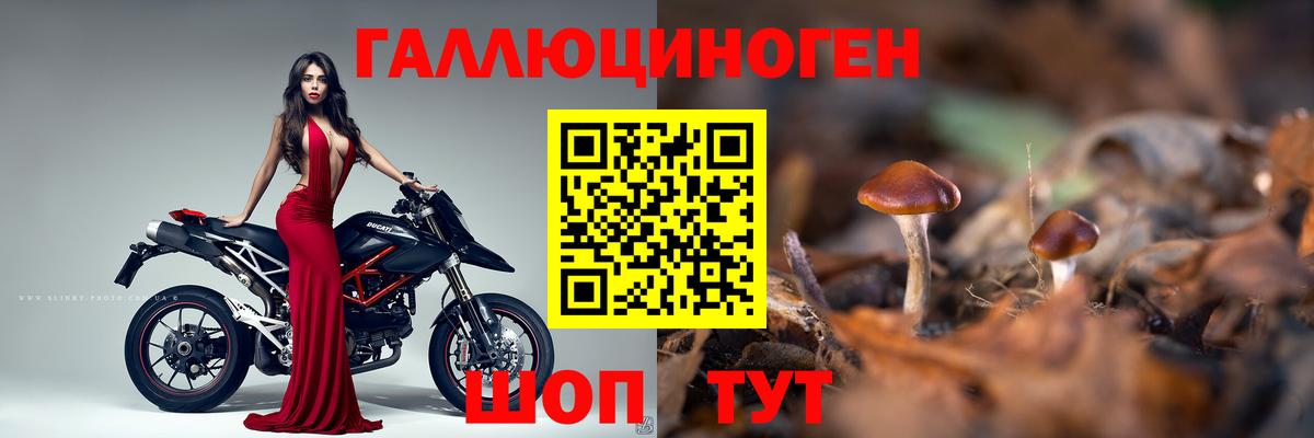 Галлюциногенные грибы MAGIC MUSHROOMS Северск